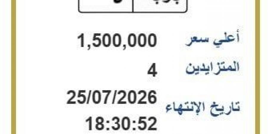 مزاد اللوحات المميزة في مصر.. «ب و ب 5» تسجل 1.5 مليون جنيه حتى الآن