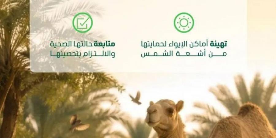 وزارة البيئة تشدد على تطبيق معايير الرفق بالحيوان لحمايتها من ارتفاع درجات الحرارة