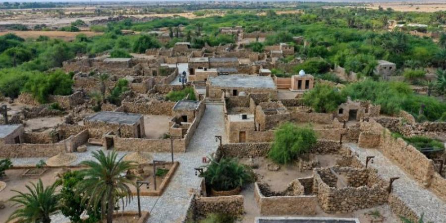 السقيد.. حكاية التحوّل في جزر فرسان
