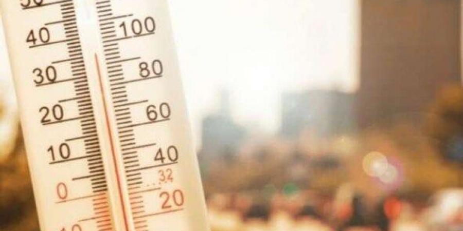 شبورة ورياح وارتفاع الرطوبة.. تفاصيل حالة الطقس خلال الأيام المقبلة