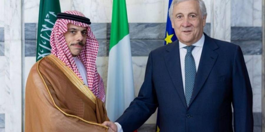 المملكة وإيطاليا تشددان في بيان مشترك على ضرورة حماية حرية الملاحة والأمن البحري في مضيقي هرمز وباب المندب