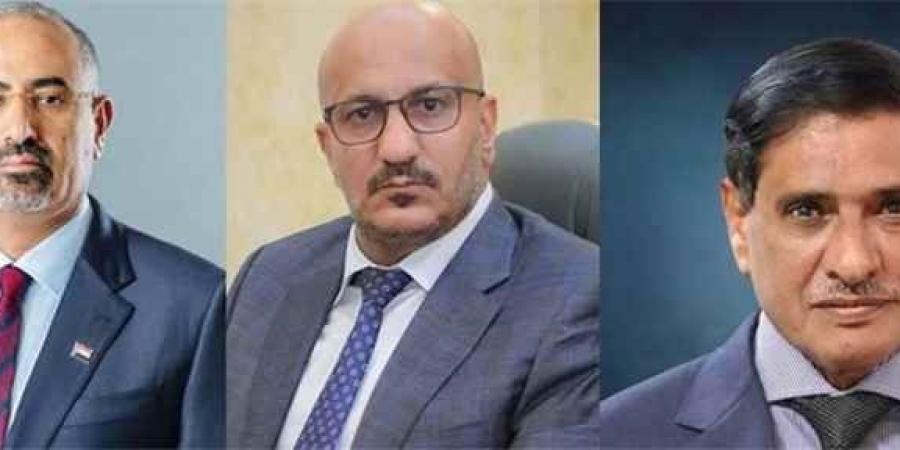 ناطق القوات المشتركة بالساحل الغربي يتحدث عن تسريبات منح التعليم العالي ويدافع عن الزبيدي وطارق صالح والبحسني