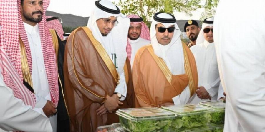 تدشين سوق التمور الموسمي السادس بمركز رهاط