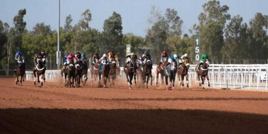 الطائف تتأهب لمواجهات الكؤوس في ثاني أسابيع موسم سباقات الخيل