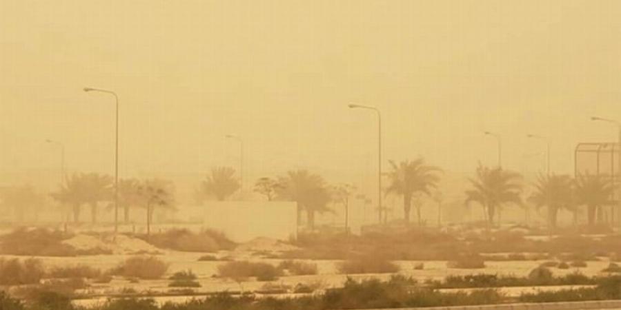 أتربة ورياح شديدة على شرورة