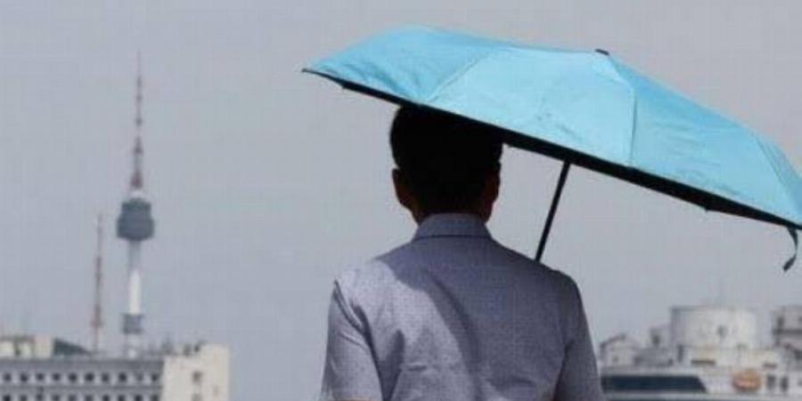 كوريا تسجل أعلى درجة حرارة في تاريخها عند (42.5) °C