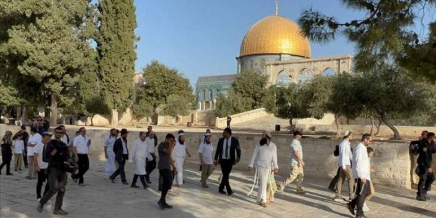 عشرات المستعمرين يقتحمون المسجد الأقصى