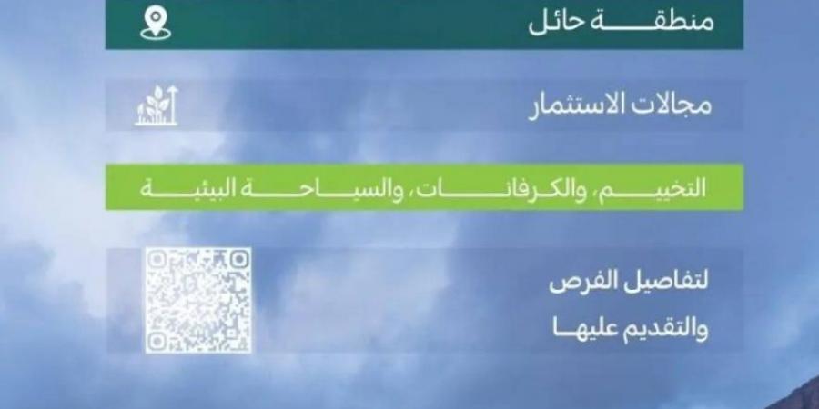 الغطاء النباتي يطرح (11) فرصة استثمارية في حائل