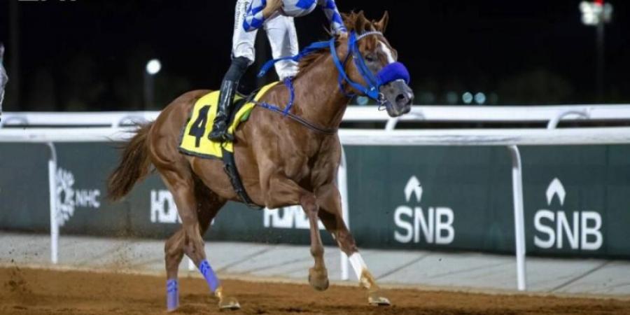 اختتام منافسات الأسبوع الثاني من موسم سباقات الخيل بالطائف