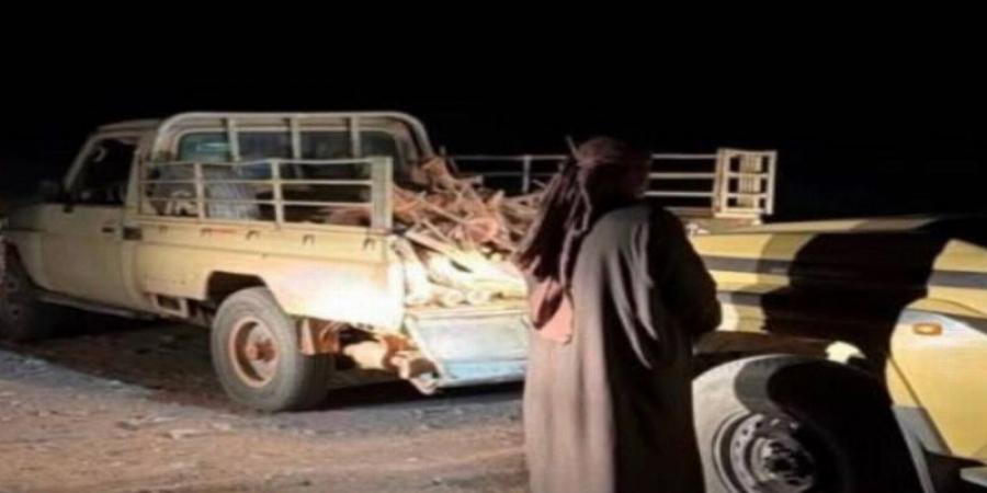 ضبط مخالف لقطعه الأشجار دون ترخيص في محمية الأمير محمد بن سلمان الملكية