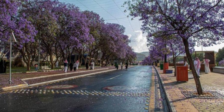 «العمارة السعودية» تدعم الاقتصاد بـ9 مليارات وتوفر 34 ألف وظيفة
