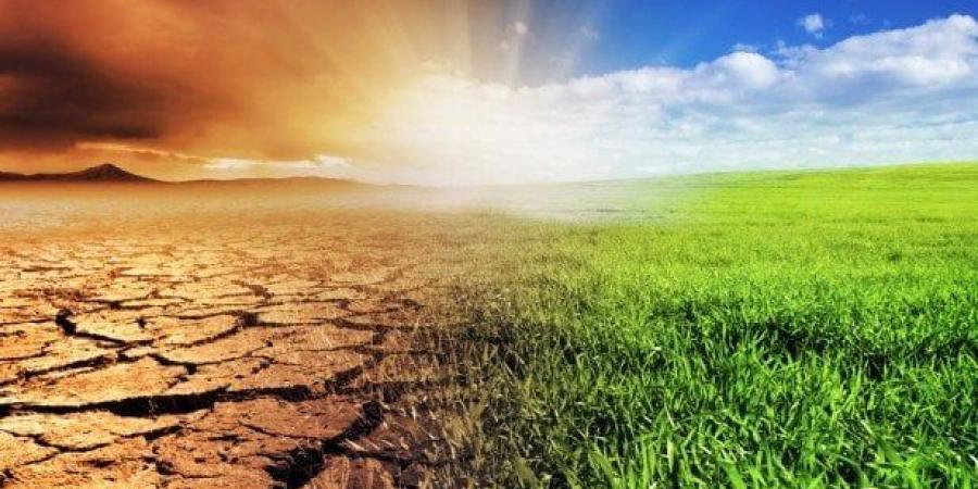 انخفاض الحرارة وارتفاع الرطوبة.. «تغير المناخ» يحذر المزارعين من الأمراض الفطرية مع بداية «مسرى»
