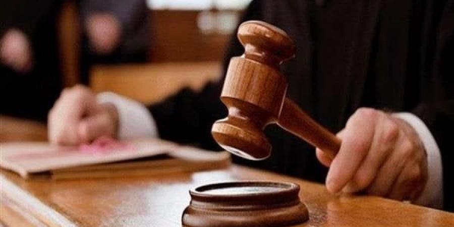 غدًا.. استكمال محاكمة 25 متهمًا في قضية «خلية القطامية»