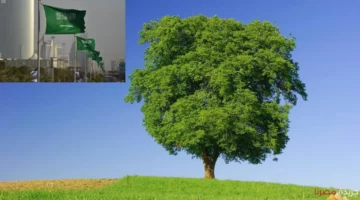 السعودية تُطلق فعاليات الملتقى الوطني للتشجير “نحو مستقبل أخضر” لزراعة 10 مليارات شجرة