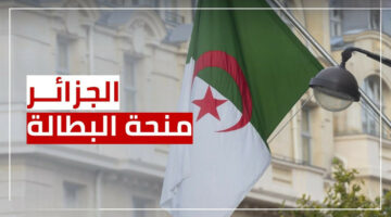 هل سيتم إيقاف منحة البطالة في الجزائر عن هذه الحالات فعلاً؟.. الوكالة الوطنية للتشغيل ترد 