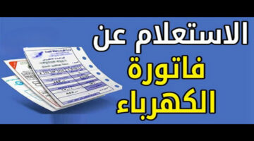 مش هتستنى محصل الكهرباء تاني.. إليكم طريقة سداد فاتورة الكهرباء عبر الإنترنت لشهر مايو 2024