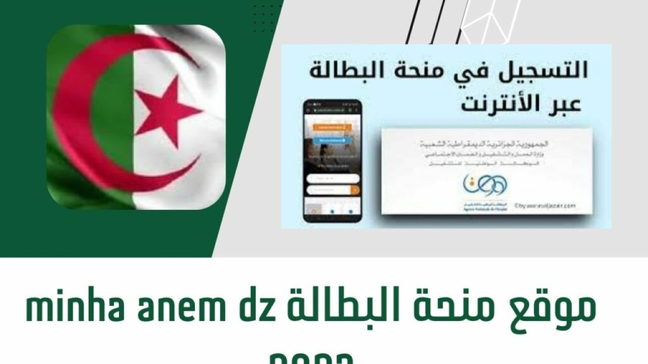 بالرابط والشروط.. تعرف على طريقة تجديد منحة البطالة في الجزائر للحصول على 15 ألف دينار