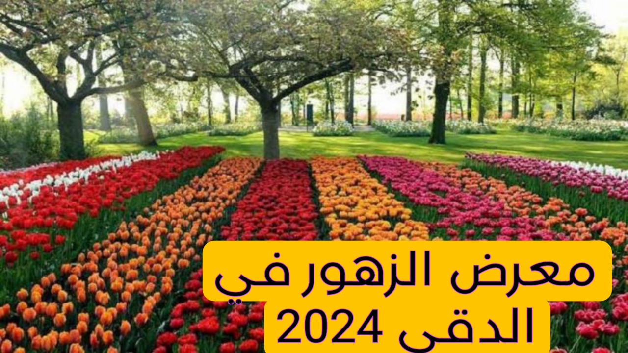 لجميع محبي الزهور.. موعد بدء معرض الزهور 2024 في الدقي وهذه الأسعار الخاصة بالتذاكر 