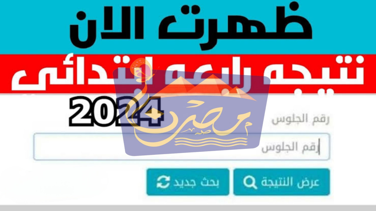 استخرجها الآن.. تعرف على رابط الحصول على نتيجة الصف الرابع الابتدائي الترم الثاني 2024 بالاسم ورقم الجلوس