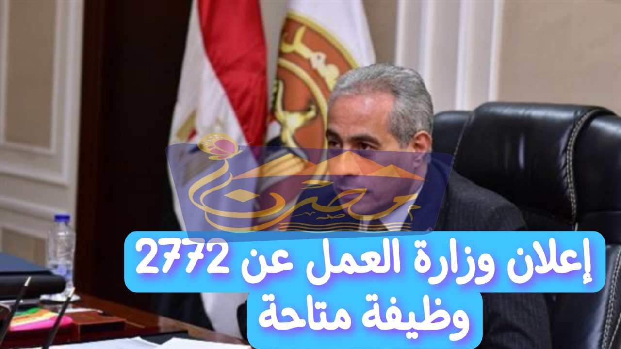 “بشرى سارة للشباب” 2772 فرصة عمل متاحة في 45 شركة.. وزارة العمل توضح التفاصيل