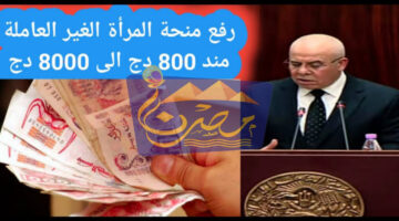 سجلي الآن واحصلي على 8000 دينار.. إليكي خطوات التقديم على منحة المرأة الماكثة في البيت بالجزائر 2024