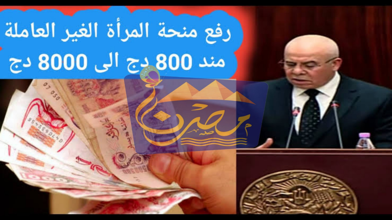 سجلي الآن واحصلي على 8000 دينار.. إليكي خطوات التقديم على منحة المرأة الماكثة في البيت بالجزائر 2024