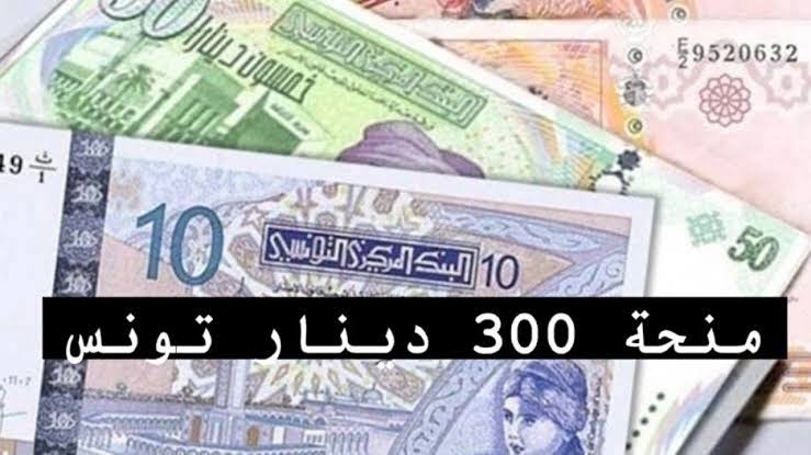 هــنا social.gov.tn.. كيفية التسجيل في منحة 300 دينار تونس 2024 عبر وزارة الشؤون الاجتماعية