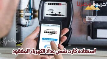 استعادة كارت شحن عداد الكهرباء المفقود