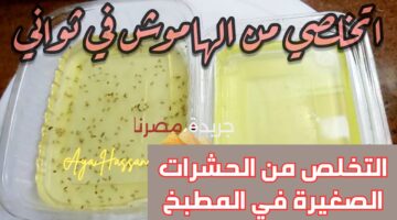 التخلص من الحشرات الصغيرة في المطبخ 1