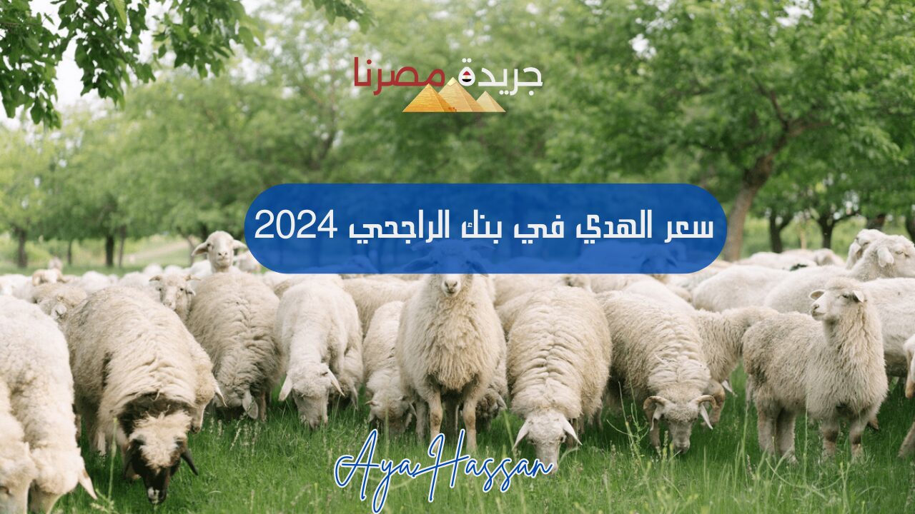 عاجل.. سعر الهدي في بنك الراجحي مع اقتراب عيد الأضحى 2024 