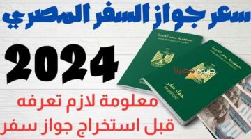 هتتصدم من السعر.. هيئة الجوازات العامة تعلن زيادة سعر استخراج جواز السفر الجديد في مصر