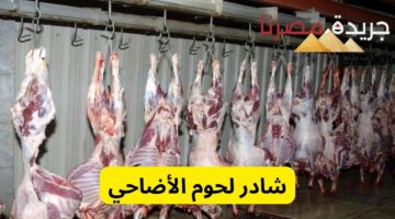 بشرة خير قبل العيد.. شادر لحوم الأضاحي برعاية وزارة الزراعة