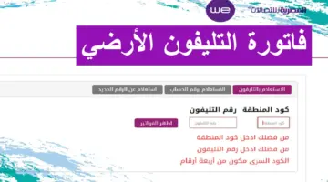 المصرية للاتصالات توضح طريقة الاستعلام عن فاتورة التليفون الأرضي مايو 2024 ودفعها إلكترونيا