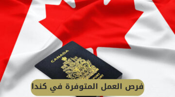 التأشيرة مجانًا.. كندا تفتح أبوابها للتقديم على وظائف شاغرة للعمال المصريين
