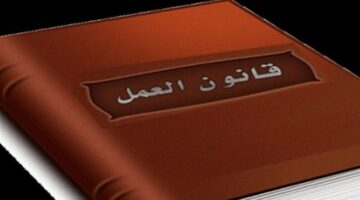 معايير تحديد واستلام الراتب