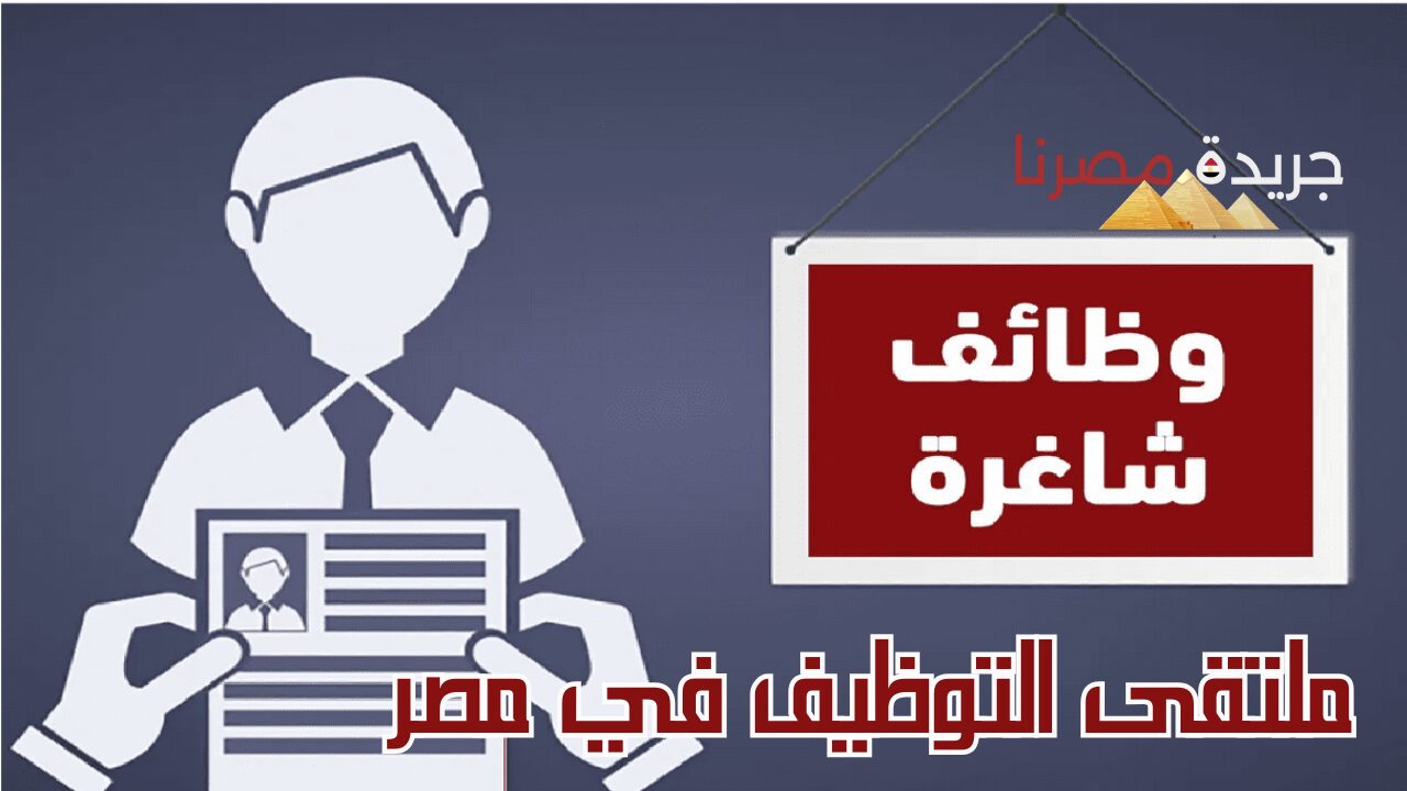 مكافآت سنوية ومرتبات تنافسية.. وظائف خالية لجميع المؤهلات من وزارة الشباب والرياضة