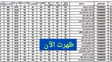 نتائج السادس الابتدائي 2024 بالاسم الكرخ الثالثة