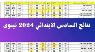 نتائج السادس الابتدائي 2024 نينوي