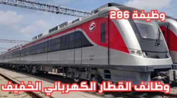 206 وظيفة شاغرة.. وزارة النقل المصرية تعلن عن توافر وظائف القطار الكهربائي الخفيف LRT 2024