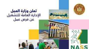 وزارة العمل تعلن عن وظائف جديدة للمدرسين في القطاع الخاص “الكل هيشتغل في 13 محافظة”