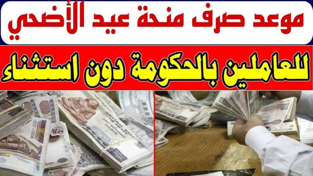 أي الأخبار الحلوة دي.. الحكومة المصرية تعلن عن صرف منحة للموظفين بمناسبة عيد الأضحى 2024