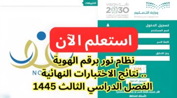 استعلم عن نتائج الفصل الدراسي الثالث في السعودية عبر الرابط الرسمي لمنصة نور التعليمية 1445هـ