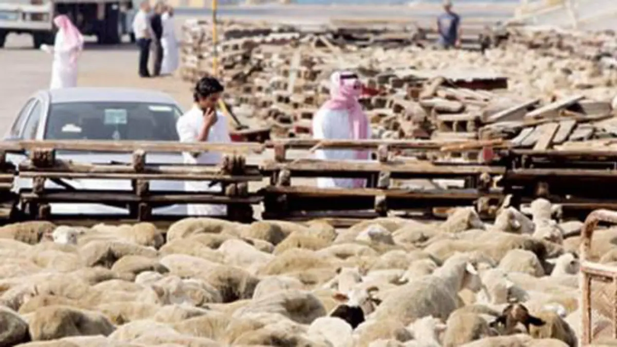 عيد الأضحى في جدة… أمانة المدينة تعلن عن مواقع وخدمات لذبح الأضاحي