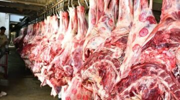 الوقت مناسب للتخزين انخفاض غير متوقع في أسعار اللحوم
