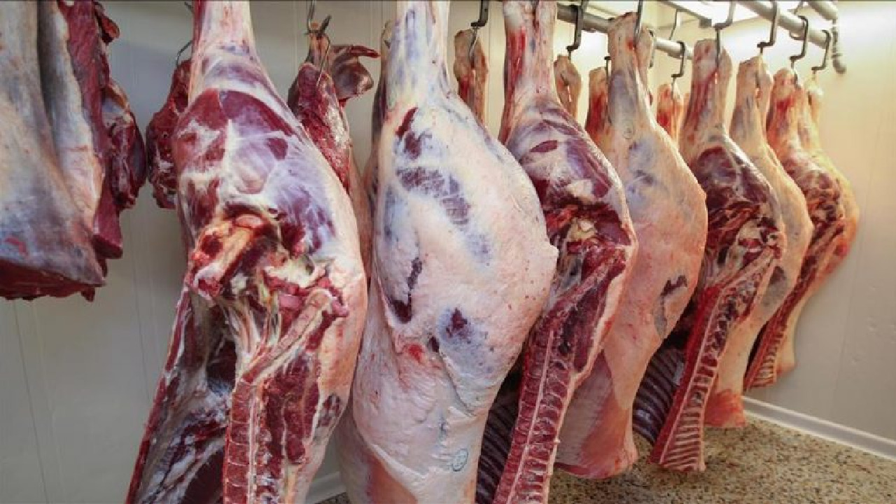 الزراعة: اللحوم الحمراء متوفرة بكميات كبيرة وبأسعار تنافسية في منافذ الوزارة على مستوى الجمهورية