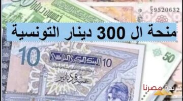 إبداع منحة العائلات المعوزة في حسابات المواطنين التونسيين