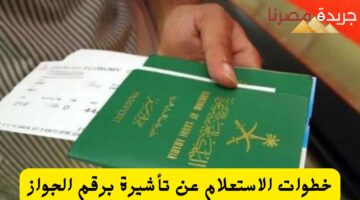 الاستعلام عن تأشيرة برقم الجواز