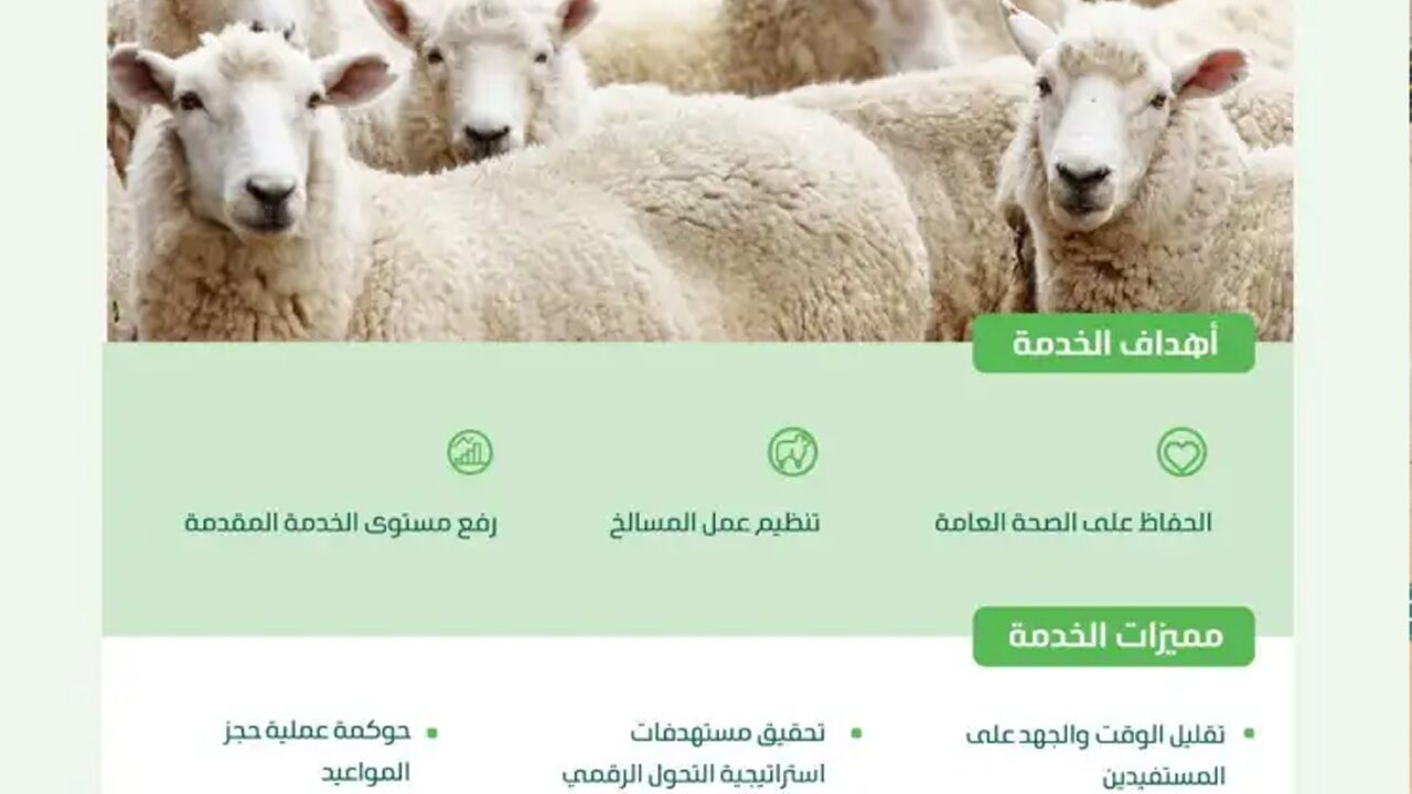 3 شروط خدمة الحجز الإلكتروني لذبح الأضاحي في مسالخ المملكة