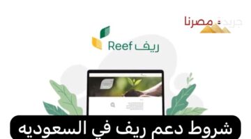 السعودية تعلن عن خطوات وشروط الاستفادة من دعم ريف