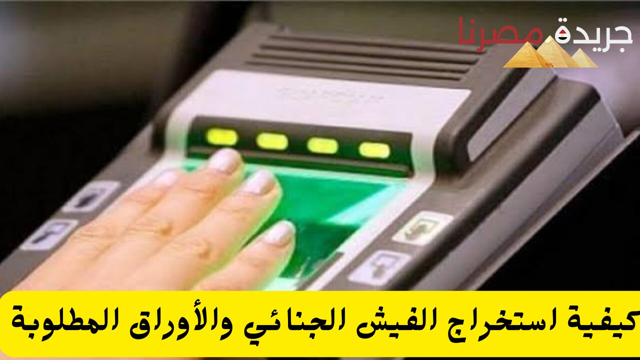 كيفية استخراج الفيش الجنائي والأوراق المطلوبة